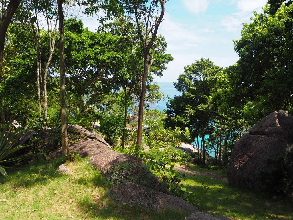 Ao Muong Beach Resort Ko Tao Dış mekan fotoğraf