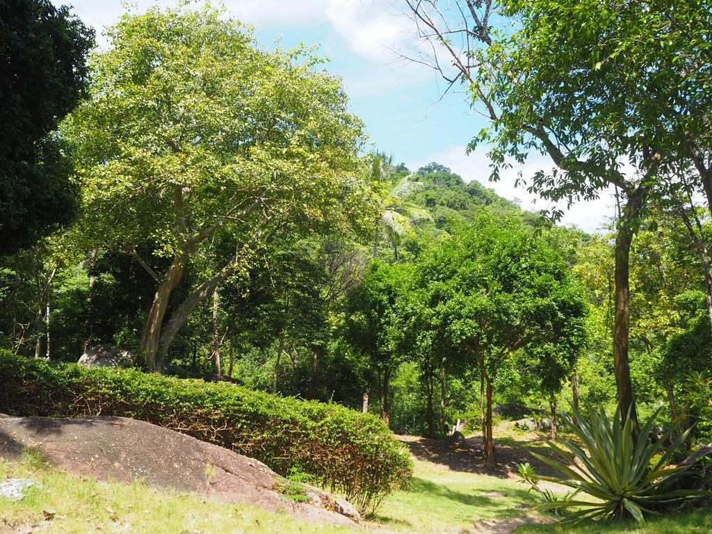 Ao Muong Beach Resort Ko Tao Dış mekan fotoğraf